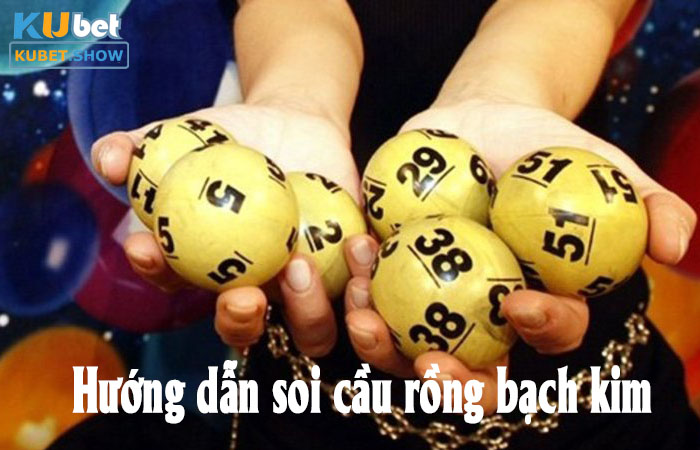 Hướng dẫn soi cầu rồng bạch kim hiệu quả